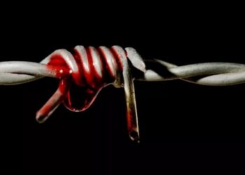 13179 شخصا بينهم أطفال ونساء ضحايا التعذيب في سوريا