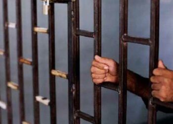 الشبكة السورية: النظام يماطل في إطلاق سراح السجناء رغم خطر كورونا