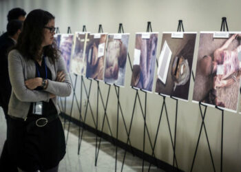 الشبكة السورية لحقوق الإنسان: 1.2 مليون معتقل يتعرضون للتعذيب الوحشي في سجون نظام الأسد