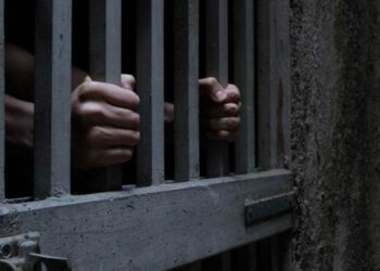 “تقرير.. النظام بحاجة إلى 325 عاما للإفراج عن 130 ألف معتقل وفقا لمراسيم العفو “