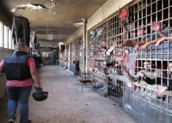 منظمات حقوقية: نظام الأسد يماطل في إطلاق سراح السجناء بموجب عفو أعلنه “الأسد”