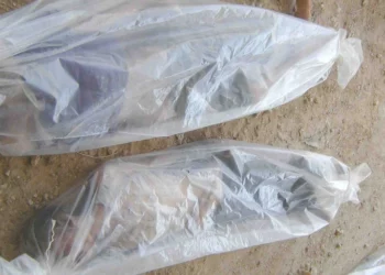 معتقلات سوريا.. هل جاء الموت؟ هل هذا اليوم الأخير؟