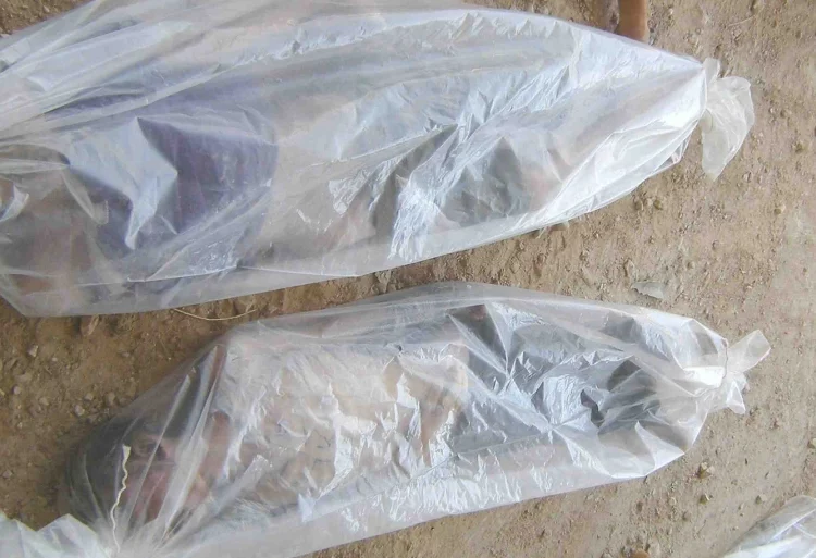 معتقلات سوريا.. هل جاء الموت؟ هل هذا اليوم الأخير؟