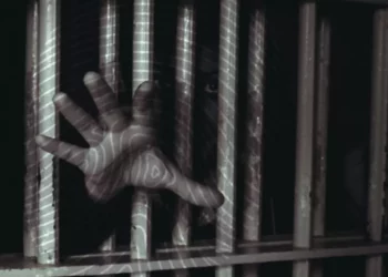 “الائتلاف والشبكة السورية” يشاركان بفعالية عن المعتقلين والمختفين قسرياً بمجلس حقوق الإنسان بجنيف