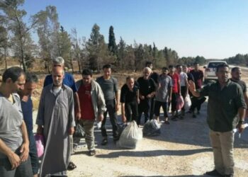 الشبكة: مراسيم النظام تحتاج إلى 325 عاماً للإفراج عن المعتقلين