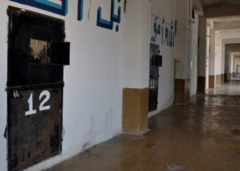 الشبكة السورية: اغتصاب سبع نساء بمراكز أمنية في حماه