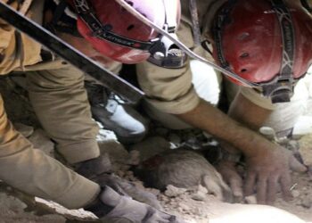 40 مجزرة وقعت بسورية في فبراير 2016