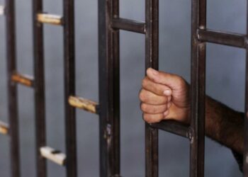 12 ألف سوري لقوا حتفهم في سجون الأسد بسبب التعذيب