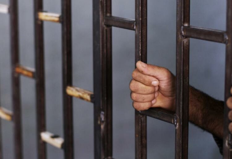 12 ألف سوري لقوا حتفهم في سجون الأسد بسبب التعذيب