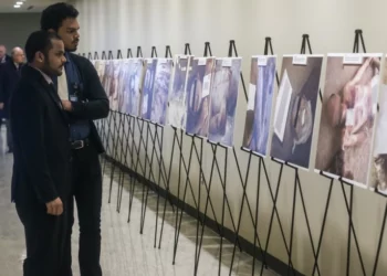 12 ألفا قضوا تعذيبا بيد النظام السوري