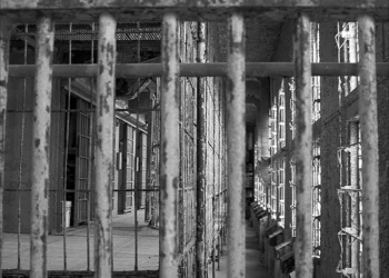 29 حالة وفاة جديدة بالتعذيب في السجون السورية