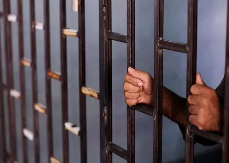 مدير الشبكة السورية: 82 ألف سوري مختفٍ قسرياً لدى النظام وهناك خلط بين وفيات التعذيب وقوام النفوس