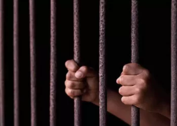 الشبكة السورية: 146 شخصاً قتلوا بسبب التعذيب في النِّصف الأول من 2018 بينهم 89 شخصاً في حزيران