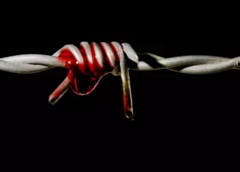 السورية لحقوق الإنسان: 12 شخصاً قضوا بسبب التعذيب في سجون النظام خلال آذار 2018