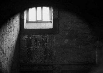 الشبكة السورية لحقوق الإنسان تطالب بإنقاذ بقية المعتقلين