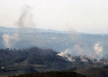 الشبكة السورية تدعو دولاً غربية للتدخل بعد هجوم الكبينة الكيماوي