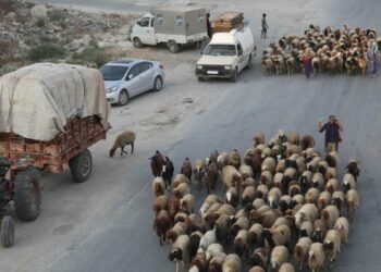 “إخفاء قسري لـ638 لاجئاً سورياً بعد عودتهم “