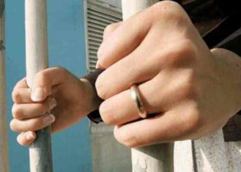 الشبكة السورية لحقوق الإنسان تُصدر تقريرها السنوي العاشر عن الانتهاكات بحق الإناث في سورية