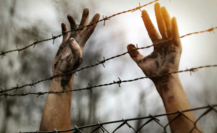 أغلبهم بسبب الأسد.. 15 ألف قتيل تحت التعذيب في سوريا