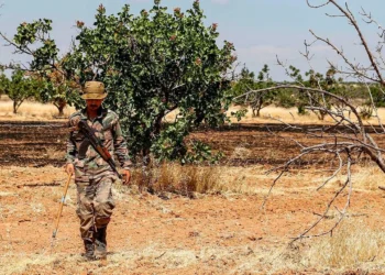 عبر المزادات العلنية.. النظام يستولي على أملاك النازحين ريف إدلب