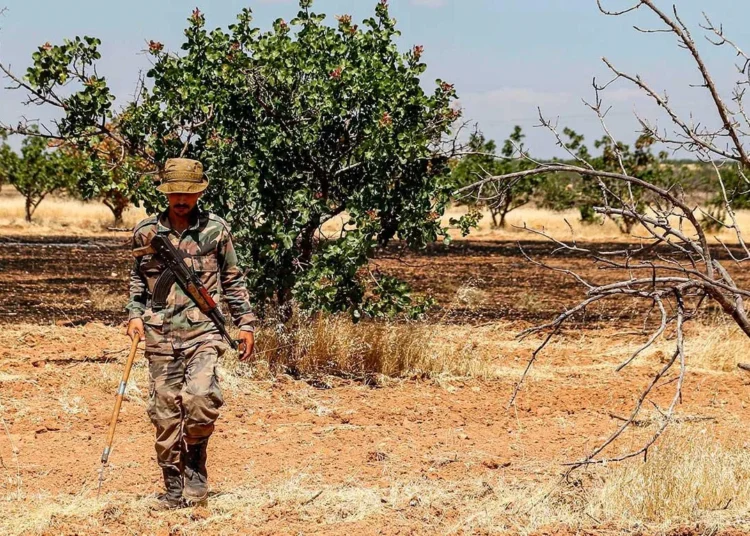 عبر المزادات العلنية.. النظام يستولي على أملاك النازحين ريف إدلب