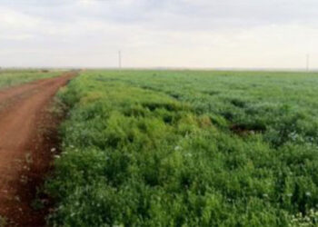 تقرير يوضّح تفاصيل استيلاء النظام على أراضي المهجرين من ريف إدلب