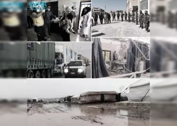 “انهيار الدولة وتفتيت المجتمع ” .. “الشبكة السورية” تُصدر التقرير السنوي الحادي عشر لانتهاكات حقوق الإنسان في سوريا عام 2021