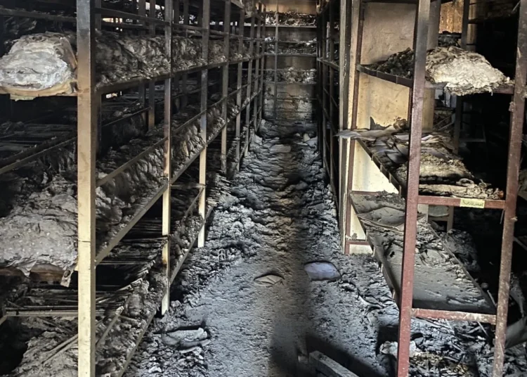 من أمريكا اللاتينية إلى العراق.. تجارب ملهمة للتعامل مع أرشيفات القمع في سوريا