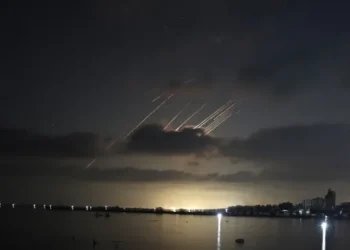 فضل عبد الغني: عسكرة الأجواء السورية تهدد السيادة وتعطل المساعدات وحركة الطيران