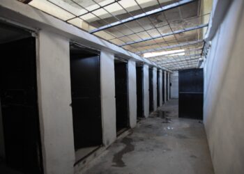 سورية: اعتقال مسؤولي دور أيتام في إطار متابعة مصير أبناء المعتقلين