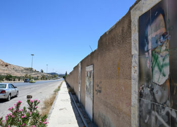 مساعي تسليم الأسد.. عدم جدية في الإجراءات القانونية