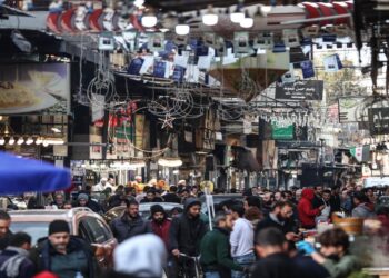 المواطن السياسي السوري والمرحلة الانتقالية