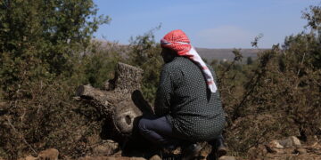 تغول إسرائيلي في الجنوب السوري… ودمشق مصرة على الدبلوماسية