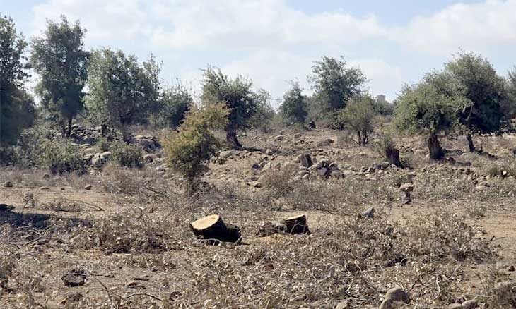 تصعيد إسرائيلي في درعا والقنيطرة
