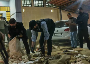 “امبراطورية الكبتاغون”: حرب معقدة على بنية أرساها نظام الأسد