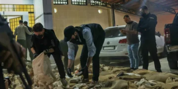 “امبراطورية الكبتاغون”: حرب معقدة على بنية أرساها نظام الأسد