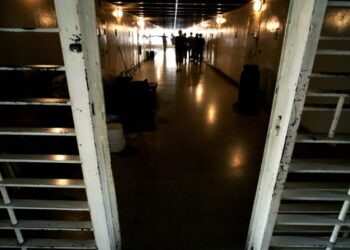 فضل عبد الغني: نقل السجناء السوريين من لبنان خطوة لمعالجة ملف مزمن