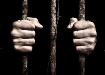 مرسوم العفو في سوريا: بين ضرورات السياسة وحدود الإعلان الدستوري