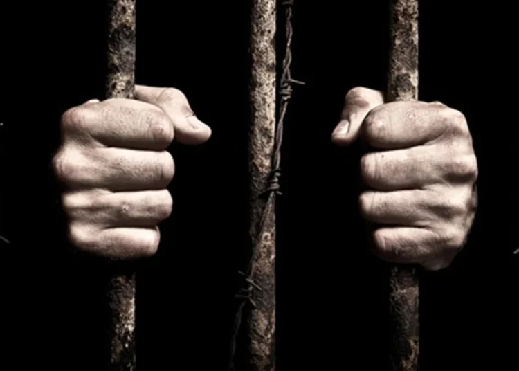 مرسوم العفو في سوريا: بين ضرورات السياسة وحدود الإعلان الدستوري