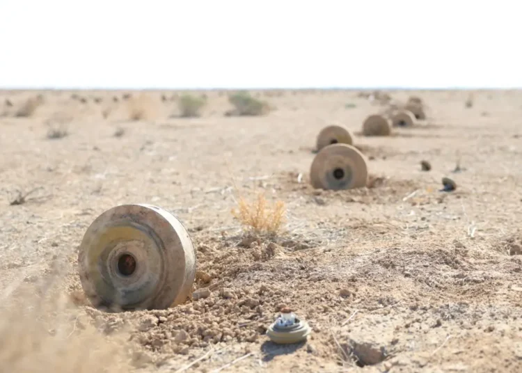 تحقيق يكشف مخاطر الألغام التي نشرتها قوات النظام البائد في الأراضي الزراعية