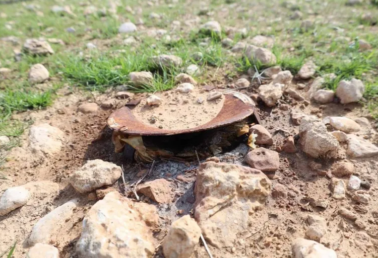 قتلت منهم ألفا.. أطفال الرقة ينبشون مخلفات الحرب بحثا عن لقمة عيش