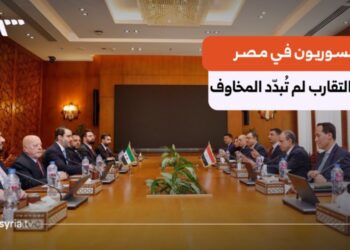 بعد زيارة الشيباني إلى مصر.. ماذا تغير بالنسبة للسوريين؟
