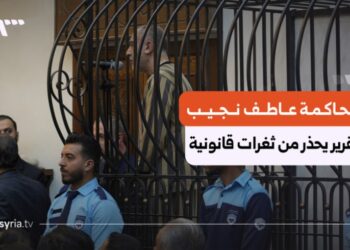 الشبكة السورية لحقوق الإنسان: ثغرات قانونية وإجرائية في قضية عاطف نجيب