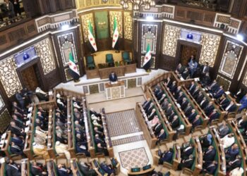 تنظيم التعددية: الأحزاب السياسية خلال المرحلة الانتقالية