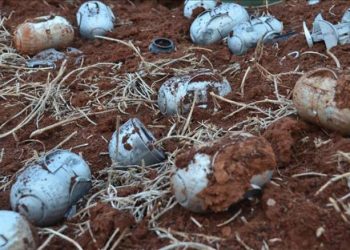 Rights Group Documents 54 Russian Cluster Munitions Attacks on Syria