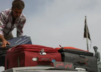 14 milyon Suriyeli ülkelerindeki mülklerini geri alamayabilir