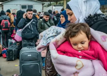 Syria: What next for earthquake victims who returned home?