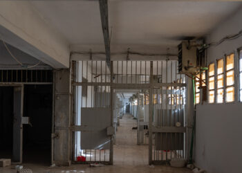 SNHR director Fadel Abdul Ghany breaks down as he announces massacre site