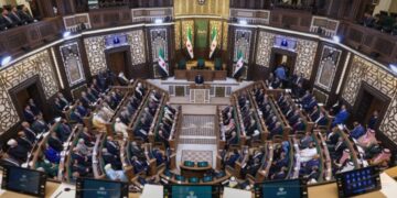 How Should the Legislative Council Draft Its Rules of Procedure During the Transitional Period?